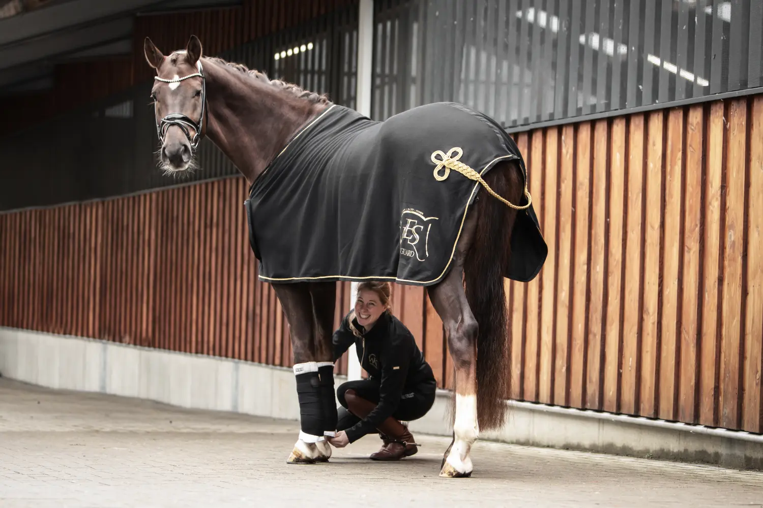 Nahaufnahme eines Pferdes mit Wes-For-Horses Decke