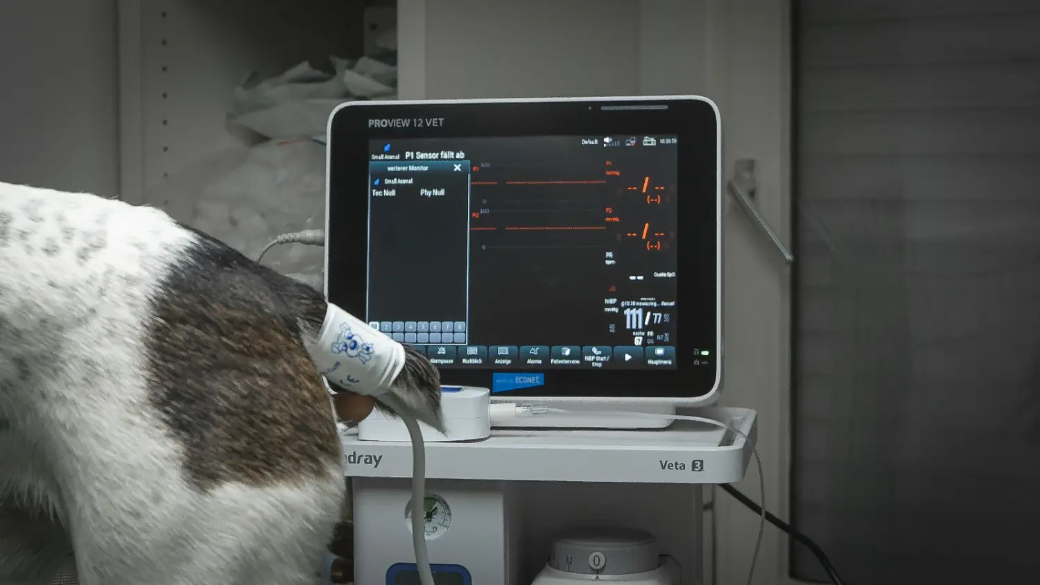 Tierarztpraxis Bergisches Land